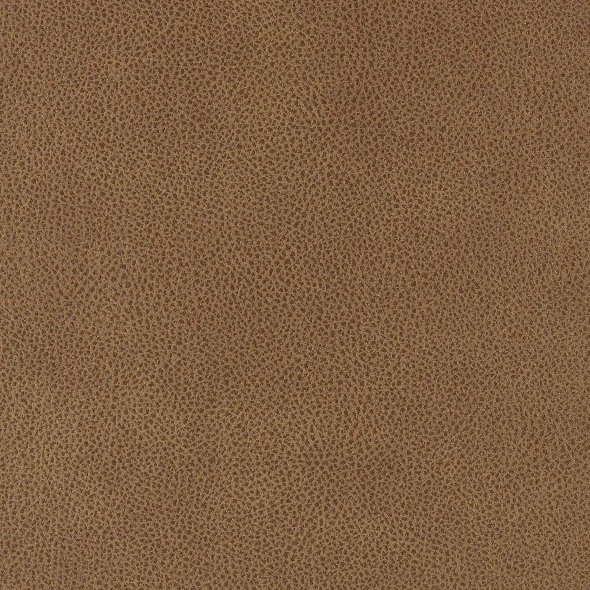 i-Rivers Camel