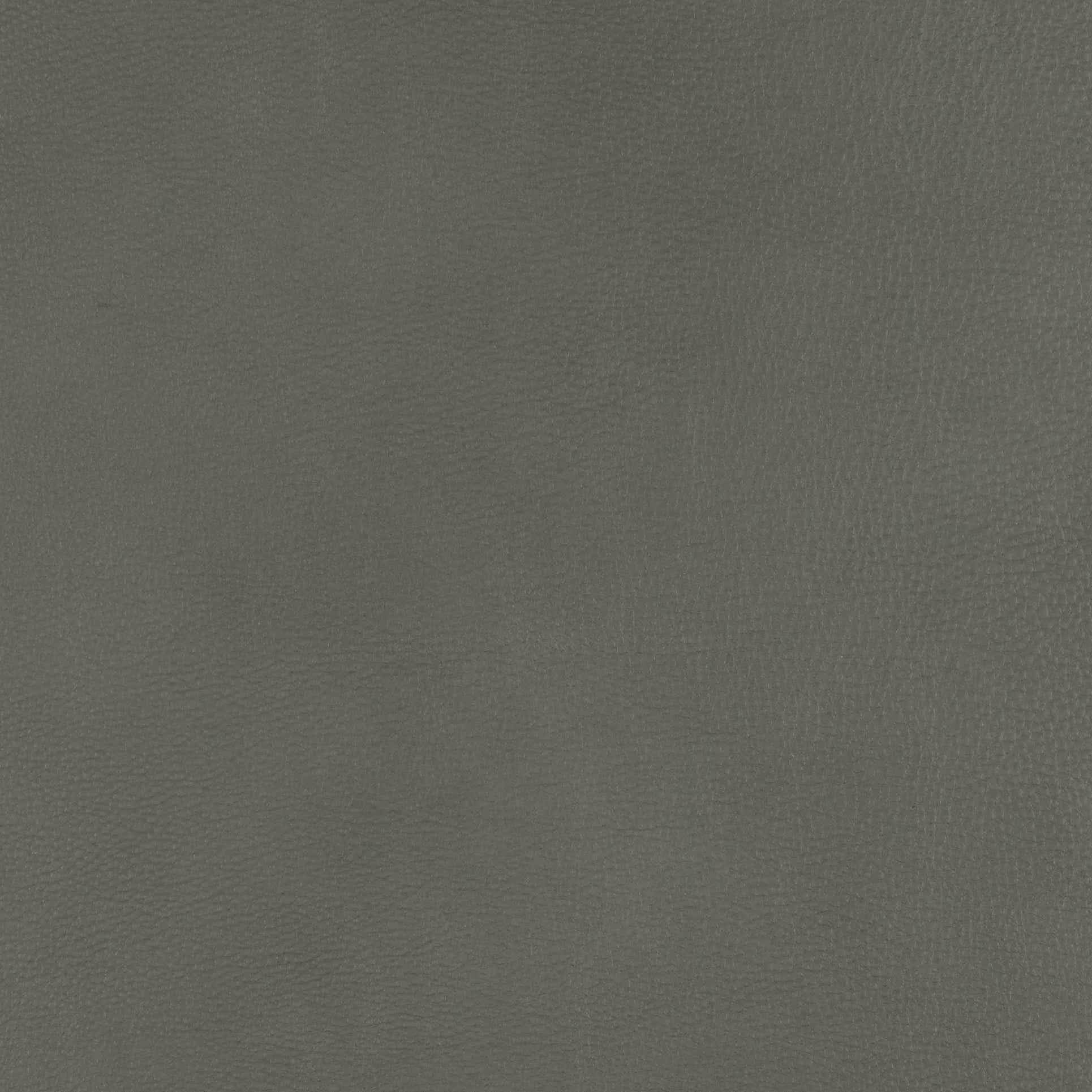 Salvo Blue Grey