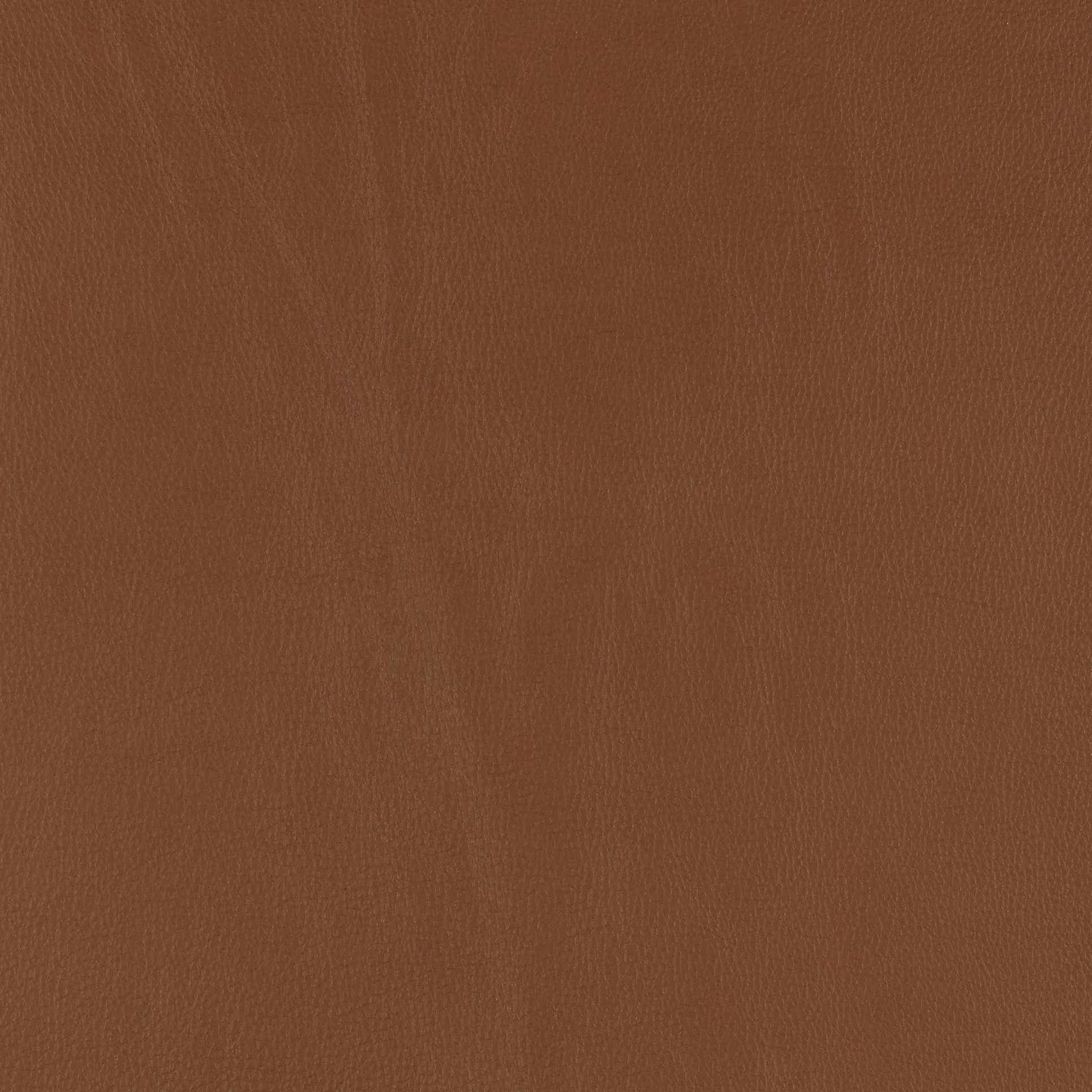 Salvo Caramel
